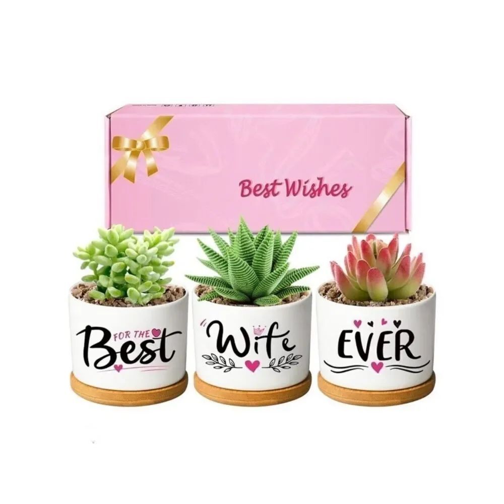 NWT Gift Set of 3 White Ceramic Succulent plants Pots Bamboo lids BEST WIFE EVER